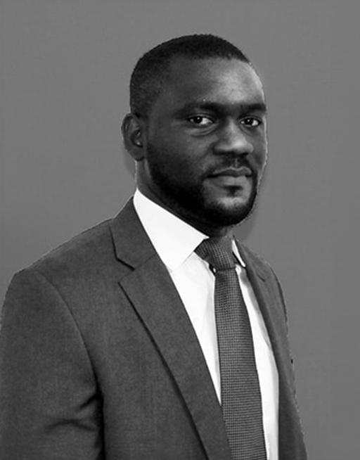 Photo of Mr Abdoulaye SANGARE